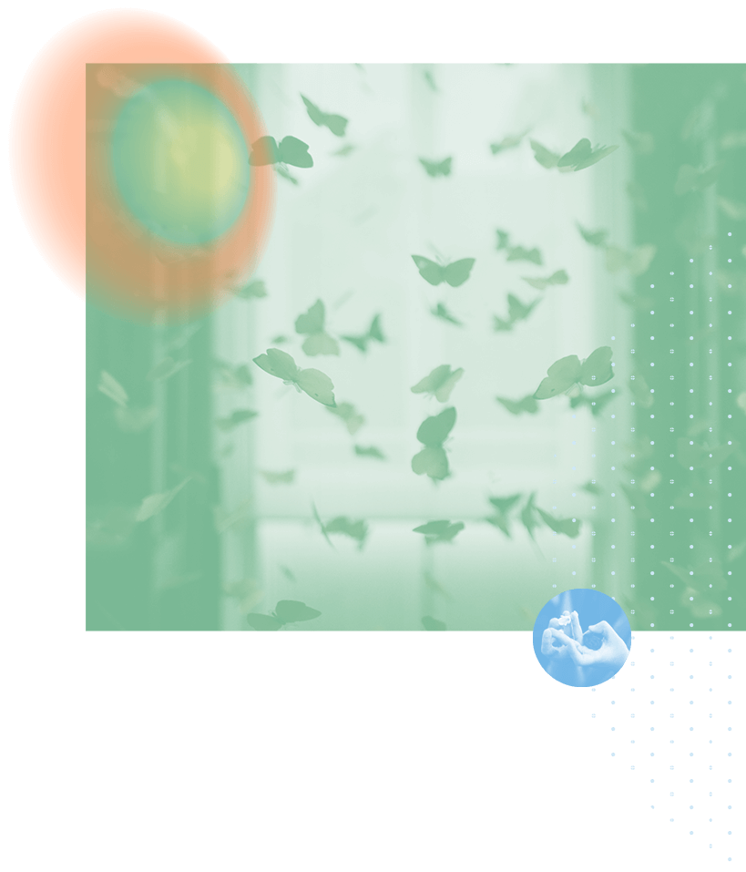 mariposas-montaje