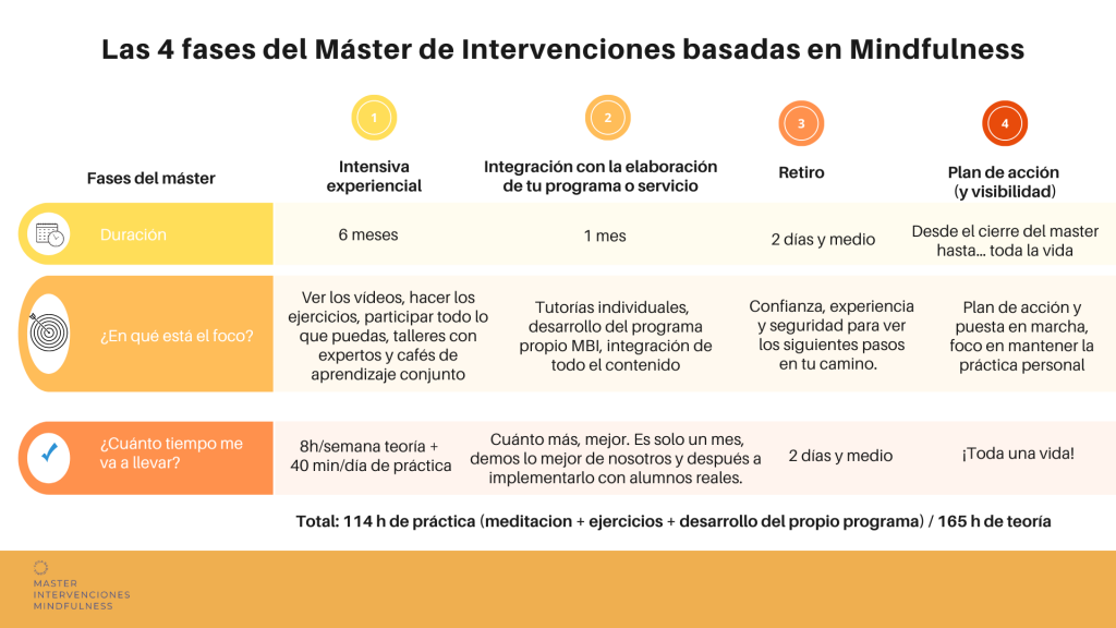 5fases master 8
