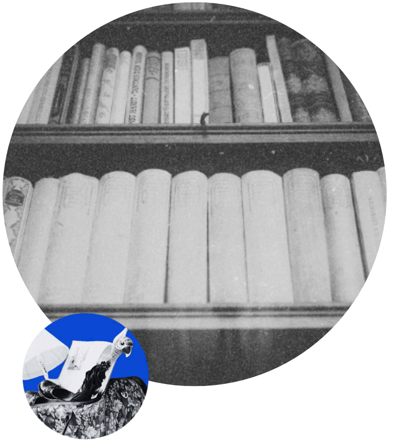 circulo libro azul