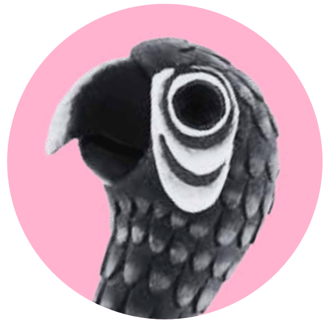 loro circulo rosa